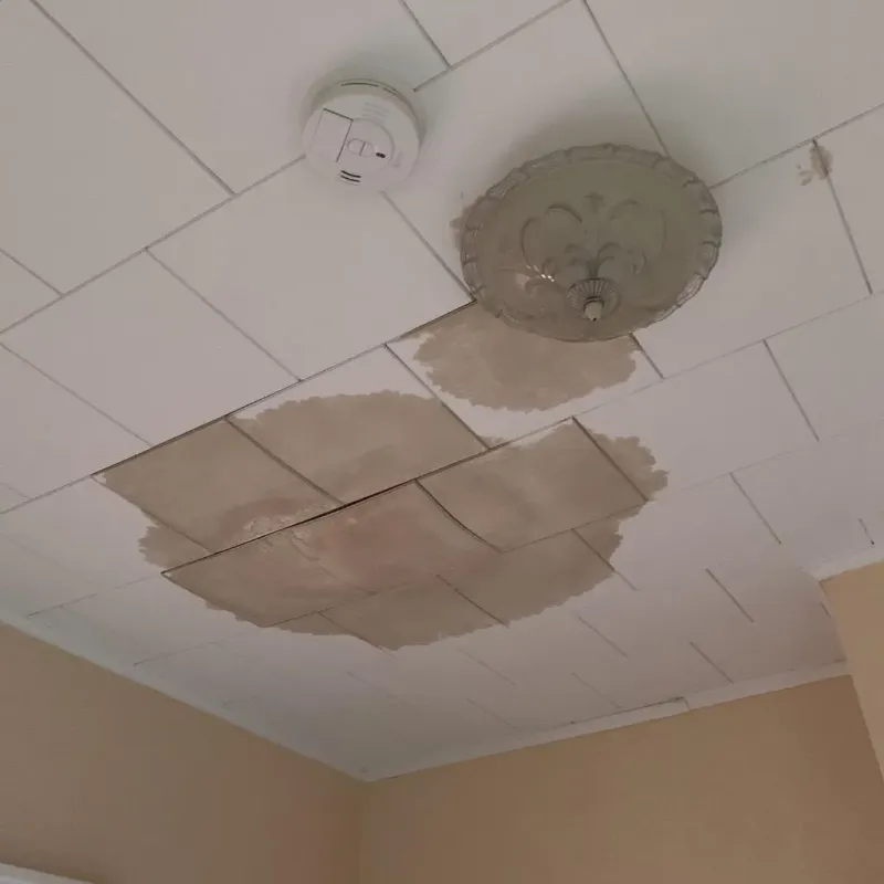 Ceiling Water Damage Repair in Cadott, WI