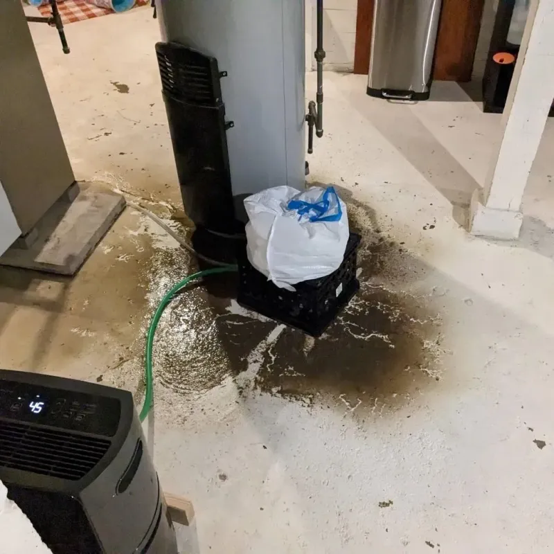 Sewage Backup Cleanup Service in Cadott, WI